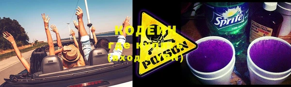 молекула духа Осташков