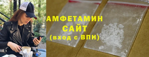 молекула духа Осташков