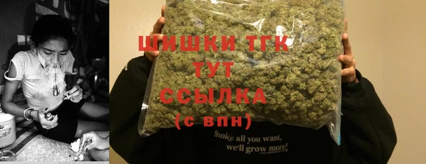трава Осинники