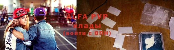 молекула духа Осташков