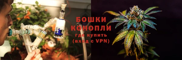 трава Осинники