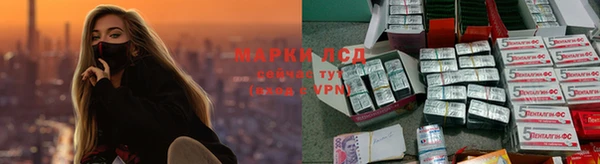 молекула духа Осташков