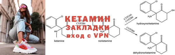 трава Осинники