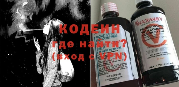 молекула духа Осташков