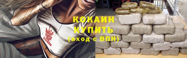 трава Осинники