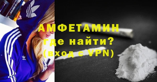молекула духа Осташков