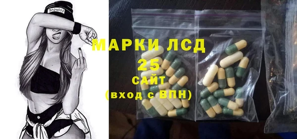 молекула духа Осташков