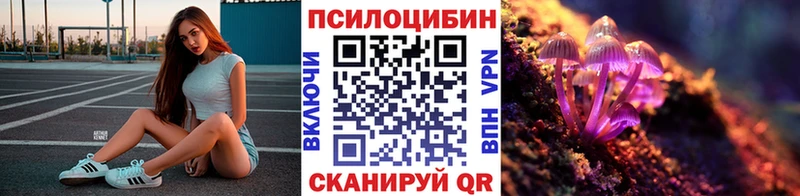 Галлюциногенные грибы Psilocybe  Пыталово 